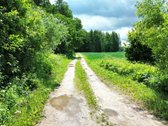 Parduodamas 12 a. sklypas, Mitkūnų k., Kauno r. - nuotraukos Nr. 17