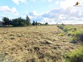 Parduodamas namų valdos 4 likę sklypai netoli - nuotraukos Nr. 3