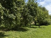 Jauki sodyba ant kalvelės – 63 arų sklypas - nuotraukos Nr. 8