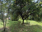 Jauki sodyba ant kalvelės – 63 arų sklypas - nuotraukos Nr. 14