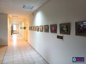 Akcija – pirmi trys nuomos mėnesiai už visą - nuotraukos Nr. 9