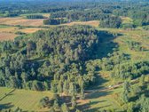 Parduodamas 5,89 Ha Žemės Sklypas Su Miško - nuotraukos Nr. 3