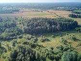 Parduodamas 5,89 Ha Žemės Sklypas Su Miško - nuotraukos Nr. 6