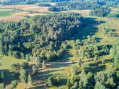 Parduodamas 5,89 Ha Žemės Sklypas Su Miško - nuotraukos Nr. 8