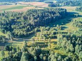 Parduodamas 5,89 Ha Žemės Sklypas Su Miško - nuotraukos Nr. 9