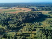 Parduodamas 5,89 Ha Žemės Sklypas Su Miško - nuotraukos Nr. 10