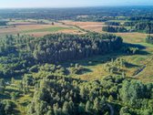 Parduodamas 5,89 Ha Žemės Sklypas Su Miško - nuotraukos Nr. 11