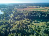 Parduodamas 5,89 Ha Žemės Sklypas Su Miško - nuotraukos Nr. 12