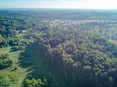 Parduodamas 5,89 Ha Žemės Sklypas Su Miško - nuotraukos Nr. 15