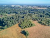 Parduodamas 5,89 Ha Žemės Sklypas Su Miško - nuotraukos Nr. 17