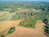 Parduodamas 5,89 Ha Žemės Sklypas Su Miško - nuotraukos Nr. 18