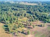Parduodamas 5,89 Ha Žemės Sklypas Su Miško - nuotraukos Nr. 19