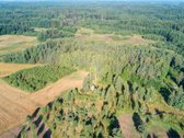 Parduodamas 5,89 Ha Žemės Sklypas Su Miško - nuotraukos Nr. 20