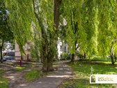 Jaukus, šviesus ir funkcionaliai išplanuotas - nuotraukos Nr. 27