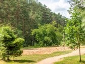 Nuomojamas patogiai įrengtas ir aprūpintas - nuotraukos Nr. 27