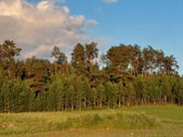 Parduodami namų valdos sklypai labai gražioje - nuotraukos Nr. 2