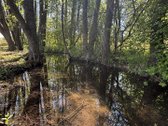 Parduodamas išskirtinis 3,2157 ha sklypas su - nuotraukos Nr. 6