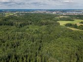 Parduodamas 37,82 ha išpuoselėtas miško - nuotraukos Nr. 3