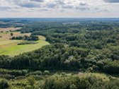 Parduodamas 37,82 ha išpuoselėtas miško - nuotraukos Nr. 4