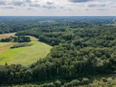 Parduodamas 37,82 ha išpuoselėtas miško - nuotraukos Nr. 5