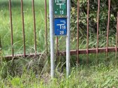 Parduodamas sodo namas erdviame 12 arų sklype - nuotraukos Nr. 5