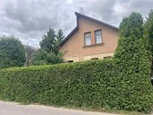 Parduodamas namas J.zikaro g. Panevėžyje. - nuotraukos Nr. 3