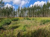 Parduodamas 6,27 ha ploto sklypas, esantis - nuotraukos Nr. 5