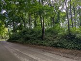 Parduodamas 0,62 ha rekreacinės paskirties - nuotraukos Nr. 3