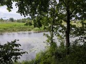 Parduodamas 0,62 ha rekreacinės paskirties - nuotraukos Nr. 2