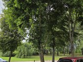 Išnuomojamas tvarkingas 2 kambarių butas - nuotraukos Nr. 14