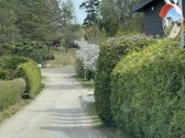 Parduodamas jaukus 6 arų sodo sklypas Geluvos - nuotraukos Nr. 5
