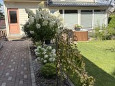 Sumažinta Buto Kaina ! Rietavo miesto centre - nuotraukos Nr. 24