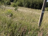 Parduodamas 23,39 A Namų Valdos Sklypas - nuotraukos Nr. 14