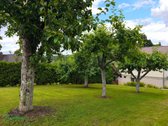 Parduodamas Namas Anykščiuose – Šaltupio G. 38a - nuotraukos Nr. 14