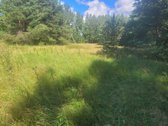 60 Arų Sklypas Miškų Apsuptyje – Vieta, Kurią - nuotraukos Nr. 3
