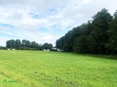 Sklypas Su Panorama Į Alaušo Ežerą – - nuotraukos Nr. 3