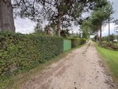 Labai gražioje vietoje parduodamas sodo namas - nuotraukos Nr. 25