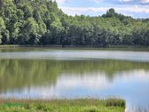 Sodyba Verknės Aukštupio Kraštovaizdyje – - nuotraukos Nr. 10