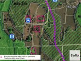  – Nt ekspertai be procentų - nuotraukos Nr. 12