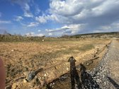 Parduodami namų valdos sklypai Didžiasalyje, - nuotraukos Nr. 5