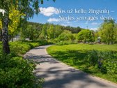 Parduodamas šviesus butas viename patogiausių - nuotraukos Nr. 19