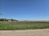 Parduodu žemės sklypą 2.7 ha su ūkiniu - nuotraukos Nr. 4