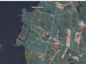 Parduodami 3 besiribojantys miško sklypai - nuotraukos Nr. 2