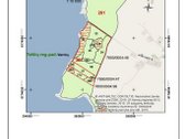 Parduodami 3 besiribojantys miško sklypai - nuotraukos Nr. 5