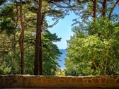 Šalia Birutės parko parduodami penthouse - nuotraukos Nr. 25