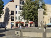 Nuomojamas vieno kambario butas pačioje - nuotraukos Nr. 5