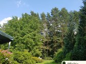Unikalus sklypas Antakalnyje, prestižinėje - nuotraukos Nr. 11