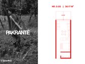 Pakrantė – čia teka įkvėpimas. - nuotraukos Nr. 6