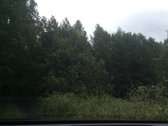 Parduodu 7ha žemės sklypą. Tankiai apaugęs - nuotraukos Nr. 4