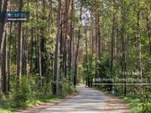 Parduodamas 4,35 A Sklypas Su Mūriniu Sodo - nuotraukos Nr. 5